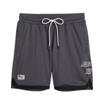 Баскетбольные мужские шорты Puma × Represent