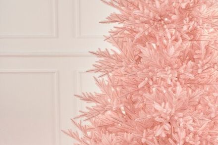 Цветные ели