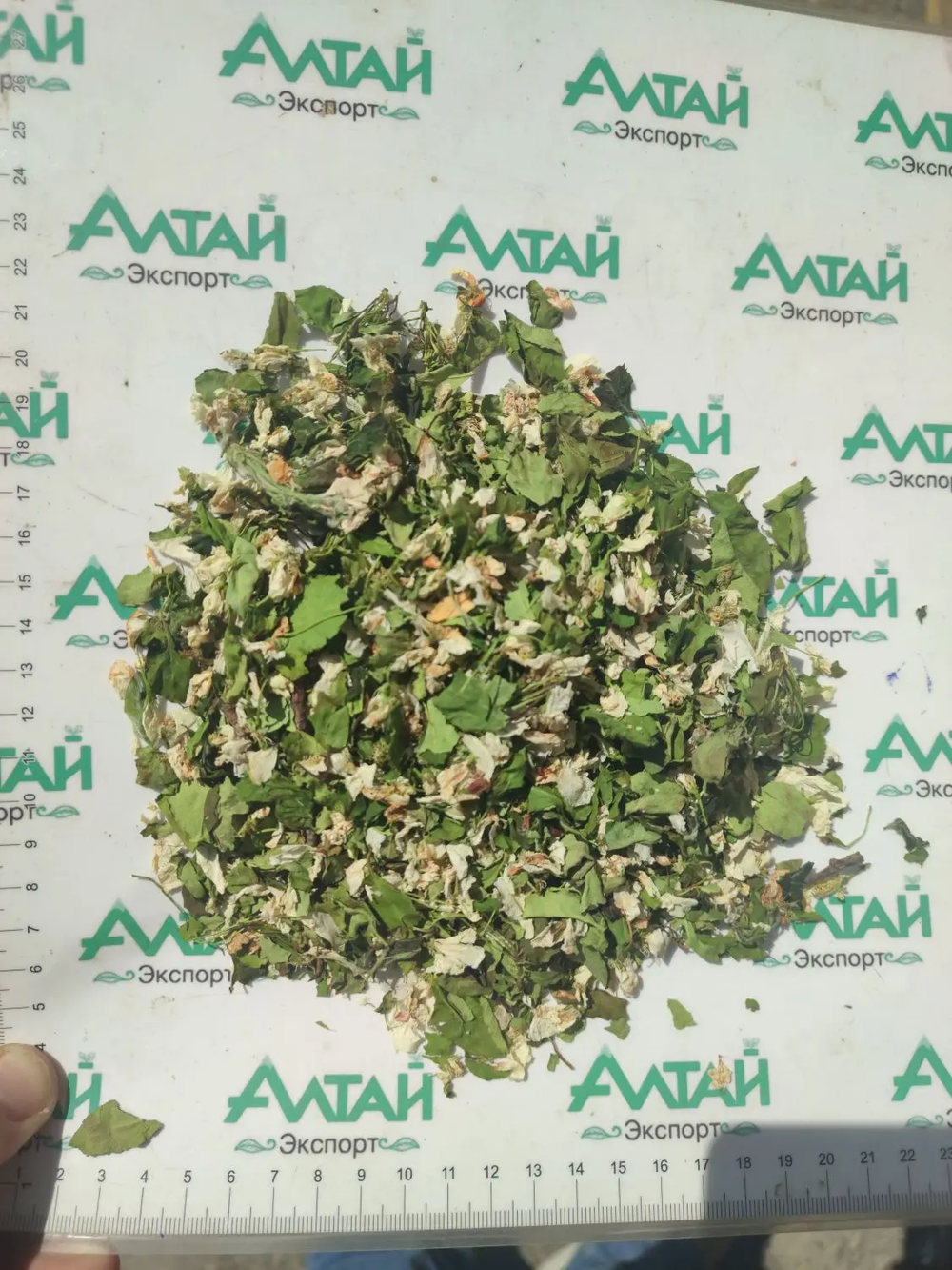 Яблоня цвет с листом Алтай(мешок 11-12кг)