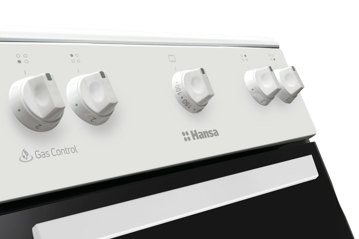 Газовая плита Hansa FCGW510009H