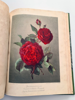 "Nestel`s Rosengarten. [  Сад роз Нестела]". E. Schweizerbartsche Verlagshandlung. 1869г.