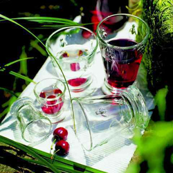 Стакан La Rochere 606701