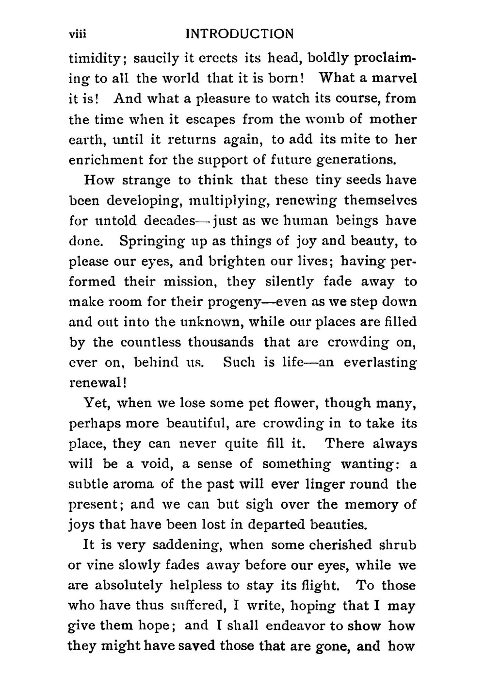 House plants and how to succeed with them | Lizzie Page Hillhouse