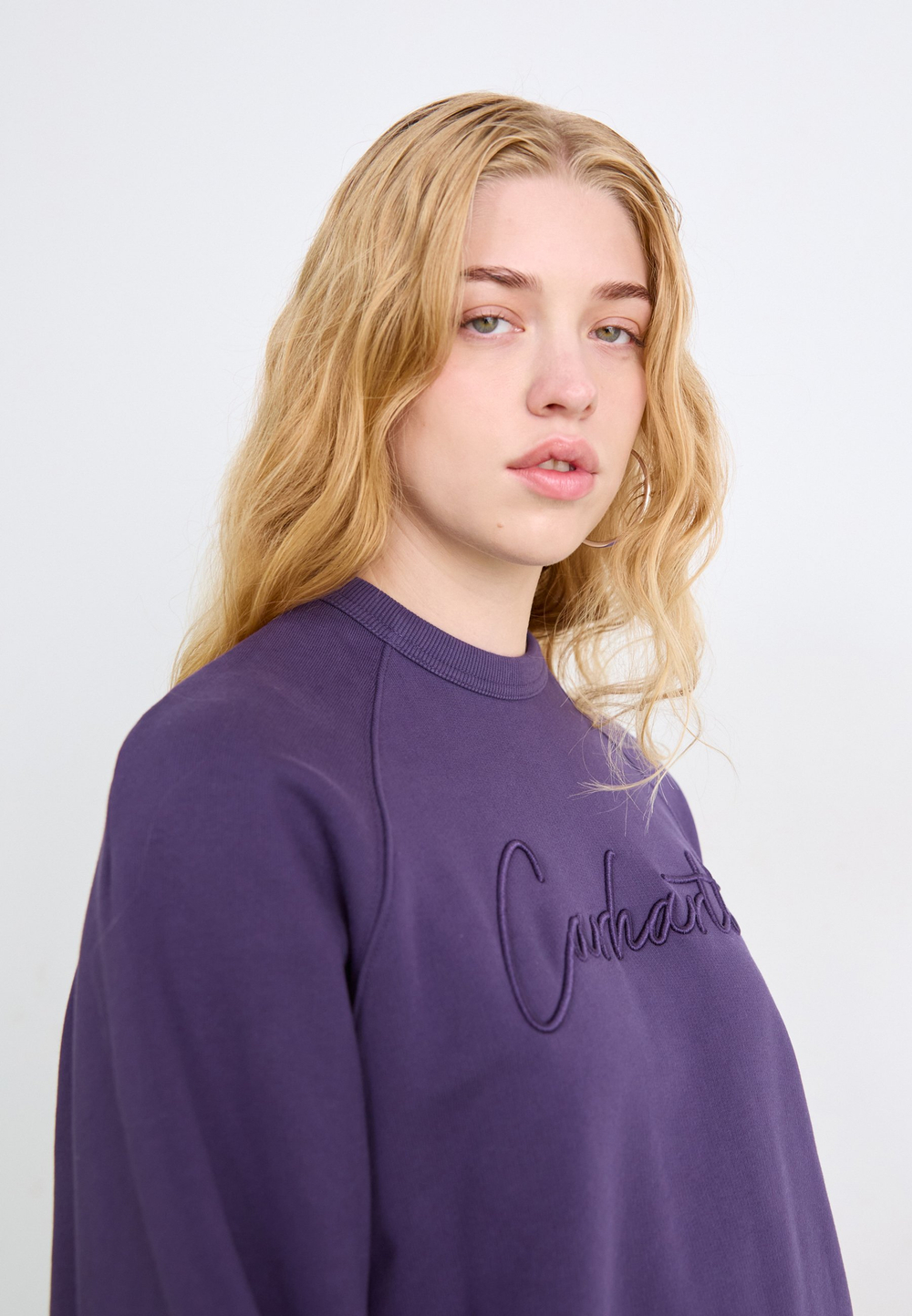 Carhartt WIP RAY - Толстовка - Фиолетовый