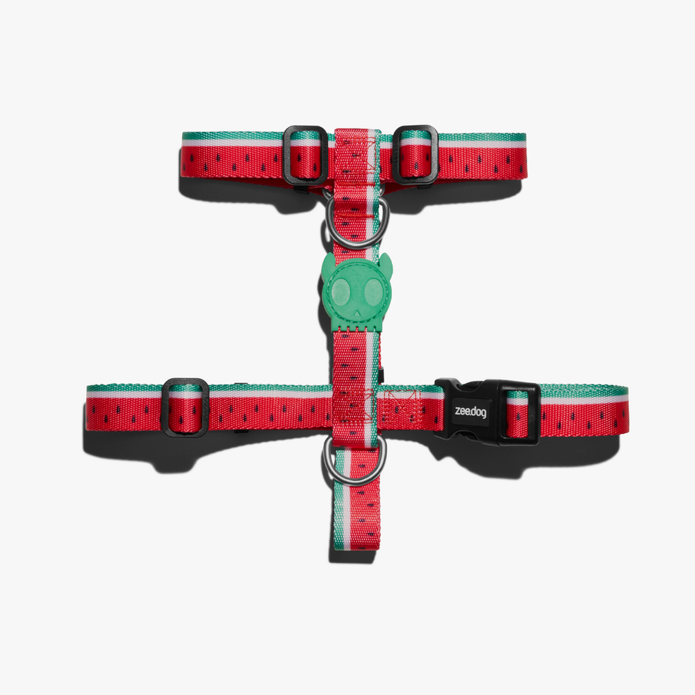 Шлейка LOLA Zee.Dog