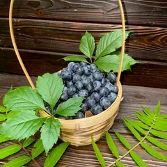 Голубика свежая / 500 гр