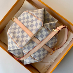 Louis Vuitton Speedy 25