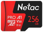 Карта памяти Netac P500 Extreme Pro 256 Гб