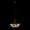 Подвесная люстра Loft IT Bunch 10048/6 Brown