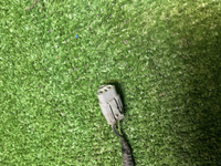 Проводка переднего бампера EXEED TXL (2021-н.в.)