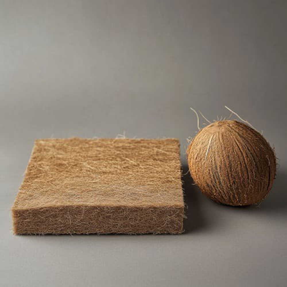 Кокосовая койра