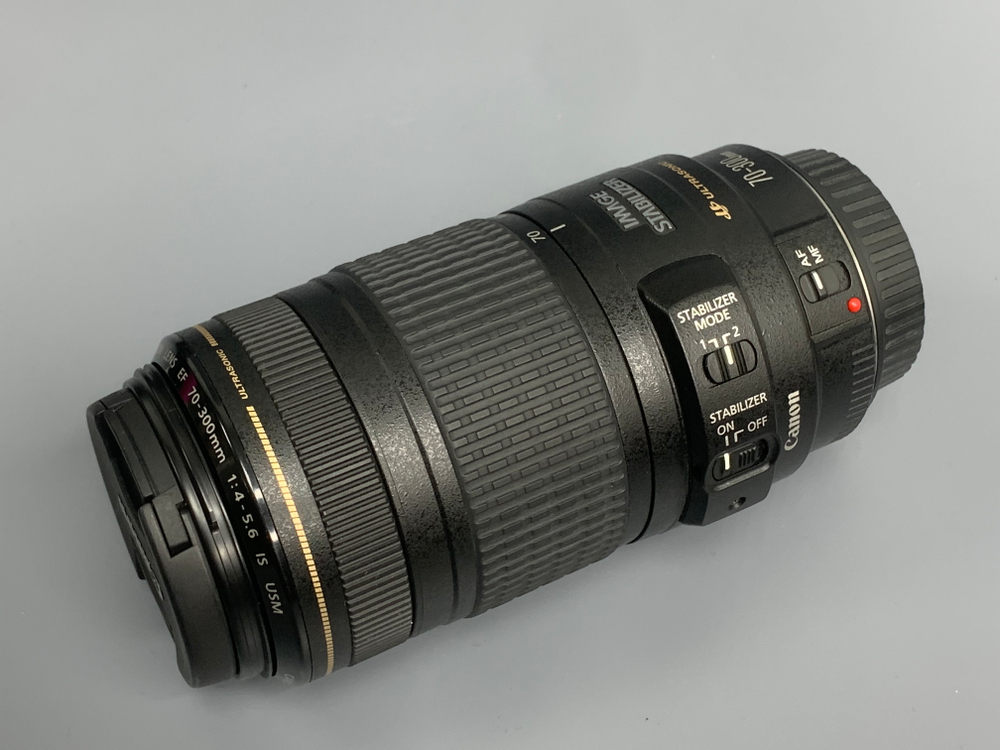 Canon EF 70-300mm IS USM