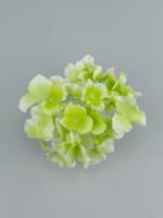 Гортензия Аннабель (голова)