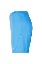 Шорты Nike Dry Park III