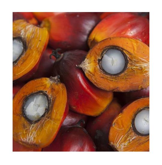 6 фактов о пальмовом масле