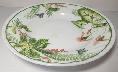 Тарелка NSP80