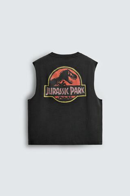 ZARA X DYLAN´S T-SHIRT CLUB ФУТБОЛКА-МАЙКА JURASSIC PARK© UCS LLC AND AMBLIN, ТЕМНЫЙ АНТРАЦИТ