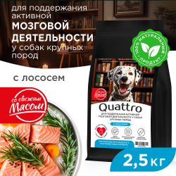 Корм сухой для взрослых собак крупных пород, премиум полнорационный комплекс, для поддержания активной мозговой деятельности, с лососем, 2,5 кг, QUATTRO