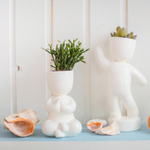 Набор для выращивания eco Йог