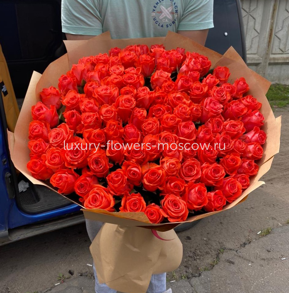 115 оранжевых роз рф 4