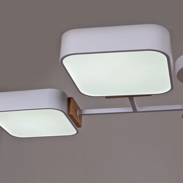 03363-0.3-08 WH+WOOD светильник потолочный