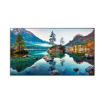 Панель для видеостены Vestel WU55B-2H