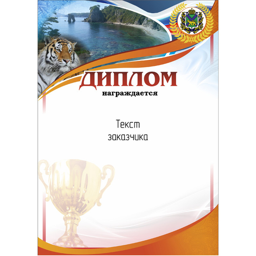 PNDiploma-504 с текстом