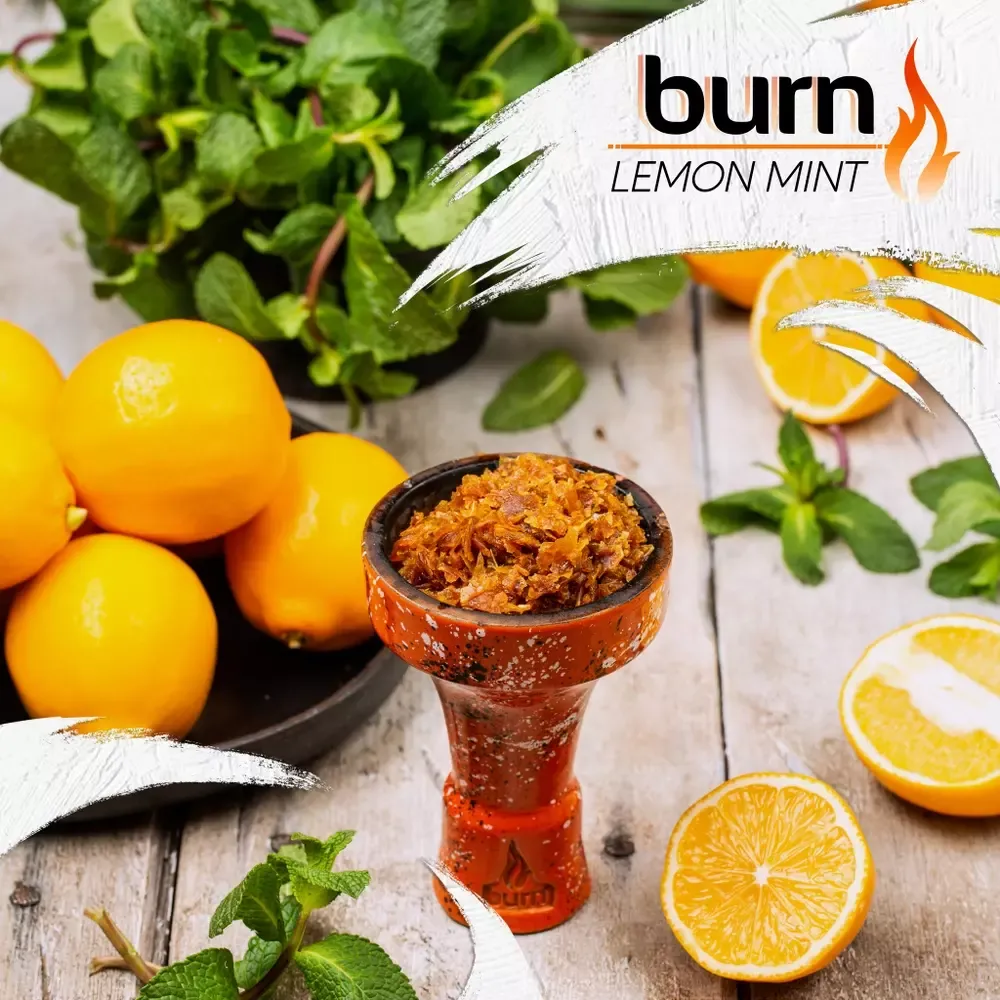 Burn - Lemon Mint (100г)