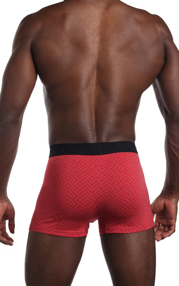 Мужские трусы 2953-3