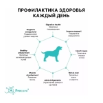 Корм сухой для собак мелких пород 4 вида мяса с пробиотиками, пакет 1кг,  Grandorf Dog 4 Meat & Rice Probiotic Mini