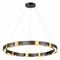 Подвесной светодиодный светильник Odeon Light Fierro 4991/80L
