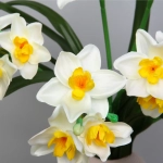 Искусственные цветы «Нарциссы» 60см белые
