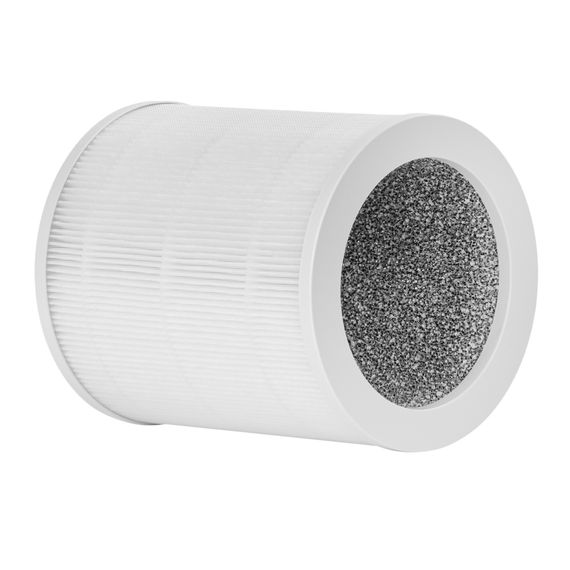 Фильтр Ballu FPHC-125 для очистителя воздуха AP-125 купить в Москве и Московской области по низкой цене с доставкой по России — (2) Фильтр Ballu FPHC-125 для очистителя воздуха AP-125 — (2)