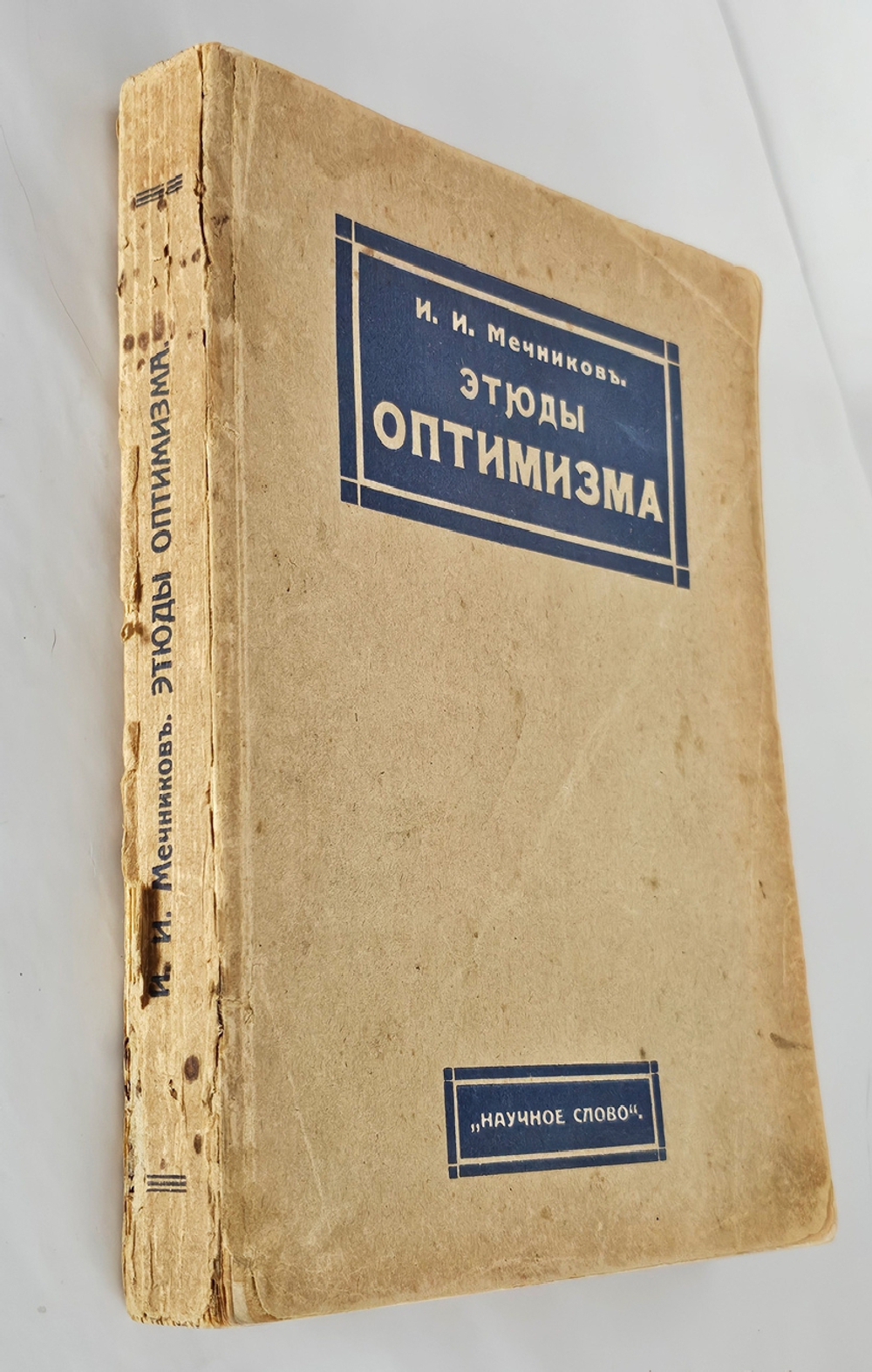 "Этюды оптимизма : С портр. автора и 27 рис". 1917г.