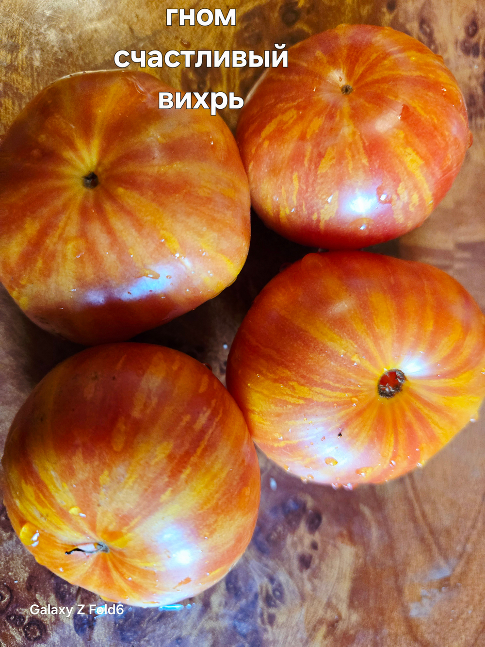 Счастливый вихрь