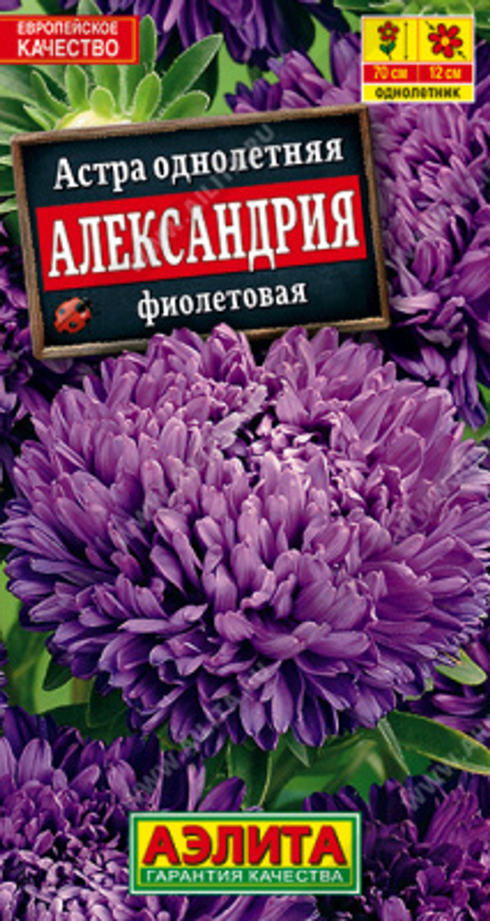 Астра Александрия фиолетовая 0,1г Ц Аэлита