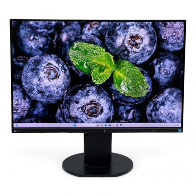 Монитор EV2455