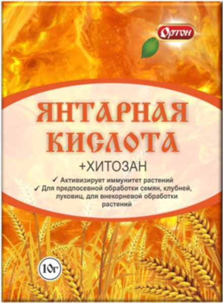 Янтарная кислота (Ортон)