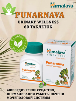 Пунарнава в капсулах Punarnava Himalaya