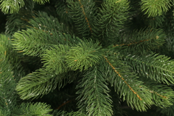 Ель искуственная Царь елка Марио 210 см