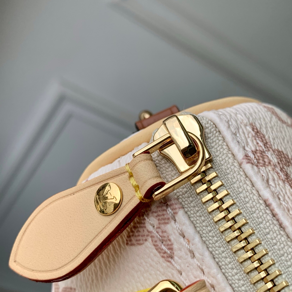 Louis Vuitton Nano Speedy