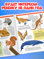 Удивительные энциклопедии. Большая детская энциклопедия
