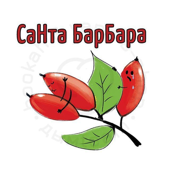 (209) Табак Икс Санта барбара 50гр
