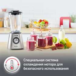 Блендер Moulinex LM439D10