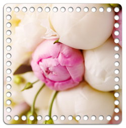 Донышко Принт 20*20см