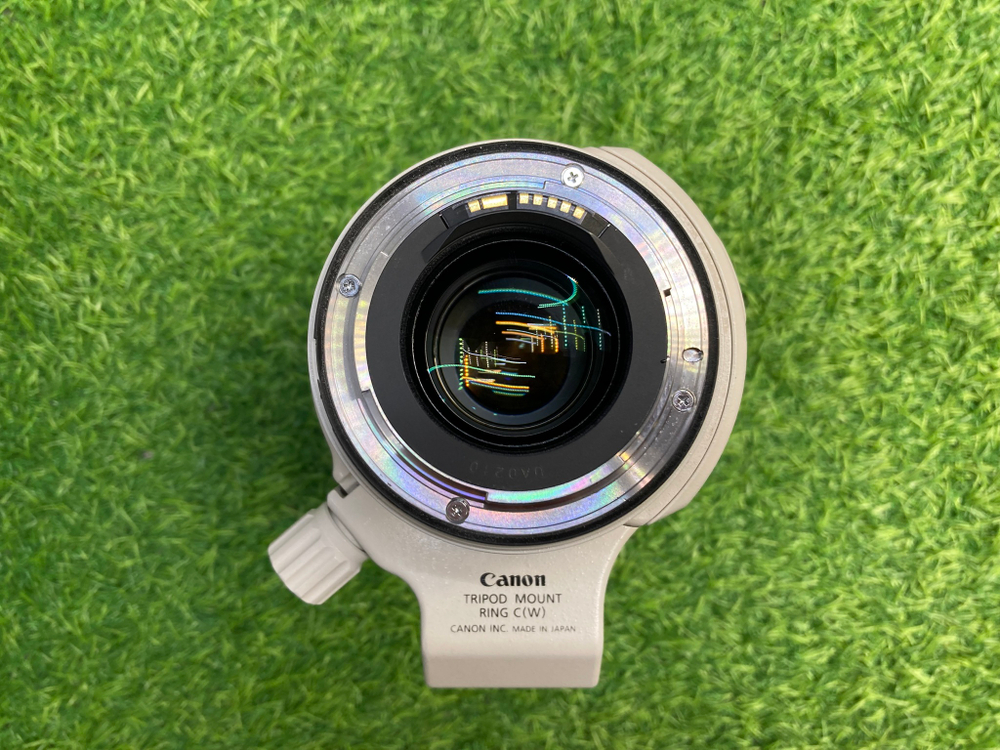 Canon EF 28-300mm 3.5-5.6L IS USM Покупка/Продажа