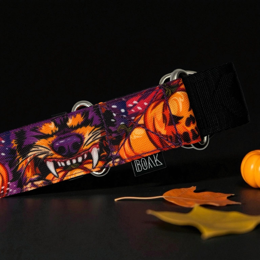 Ошейник Pawmpkin