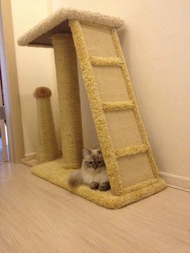 Когтеточка К-15