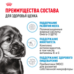 Royal Canin Mini Puppy Мини Паппи Корм сухой для щенков мелких пород в возрасте до 10 месяцев 4кг