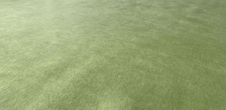 Велюр Тэдди 818